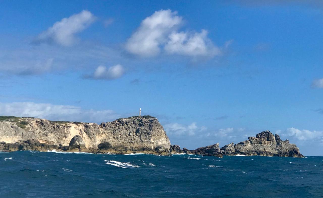Villa Coco Paradise A 800M De La Mer Saint-Francois  Eksteriør bilde